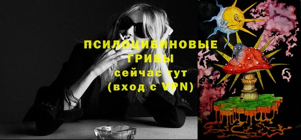 СК Волоколамск