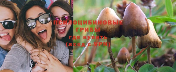 СК Волоколамск